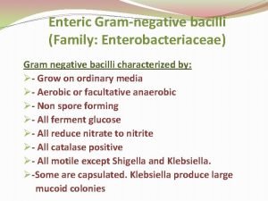 Enteric gram negative bacilli