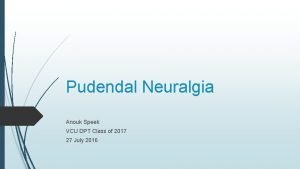 Pudendal Neuralgia Anouk Speek VCU DPT Class of