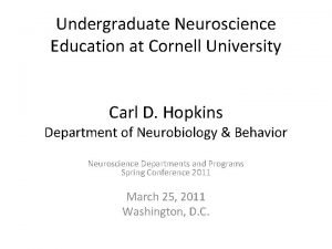Cornell neuroscience major