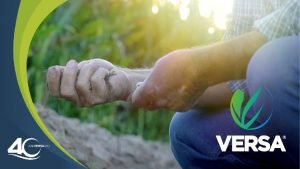 PORTAL DE PROVEEDORES ESTE PORTAL SE CREO CON PORTAL DE PROVEEDORES ESTE PORTAL SE CREO CON