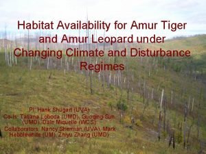 Habitat Availability for Amur Tiger and Amur Leopard