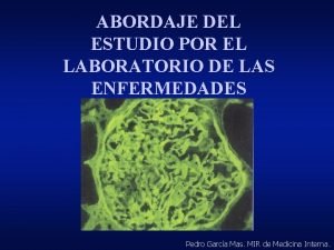 ABORDAJE DEL ESTUDIO POR EL LABORATORIO DE LAS