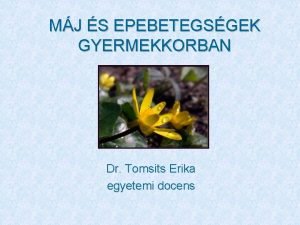 MJ S EPEBETEGSGEK GYERMEKKORBAN Dr Tomsits Erika egyetemi