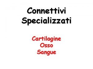 Connettivi Specializzati Cartilagine Osso Sangue Cartilagine Cartilagine Tessuto