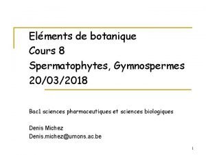 Elments de botanique Cours 8 Spermatophytes Gymnospermes 20032018