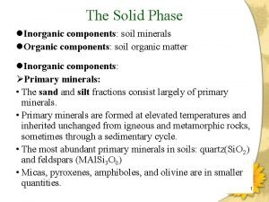 The Solid Phase l Inorganic components soil minerals