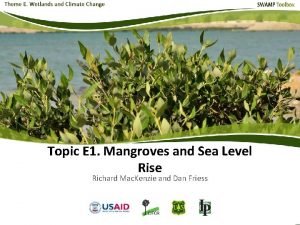 Topic E 1 Mangroves and Sea Level Rise