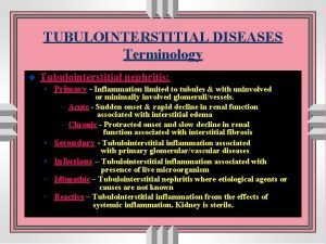 TUBULOINTERSTITIAL DISEASES Terminology u Tubulointerstitial nephritis Primary Inflammation