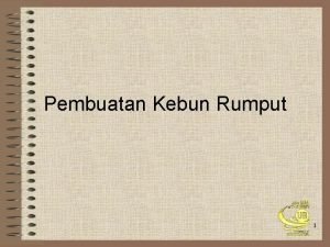 Pembuatan Kebun Rumput Peranan Hijauan Makanan Ternak Hijaun