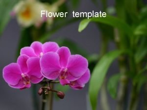 Flower template Example bullet point slide Bullet point