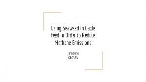 Using Seaweed in Cattle Feed in Order to