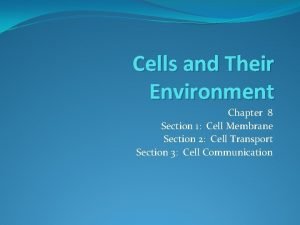 Cells and their environment worksheet answers