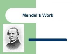 Gregor mendel Gregor mendel