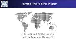 Human frontiers postdoctoral fellowship