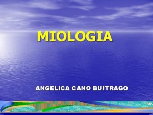 MIOLOGIA ANGELICA CANO BUITRAGO MIOLOGIA Los msculos se