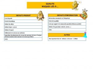 QUALITE RISQUES LIS DEFAUTS DINFORMATION DEFAUTS PRODUIT Ecart