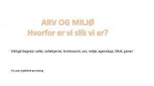Hvor mange kromosomer har et menneske Hvor mange kromosomer har et menneske