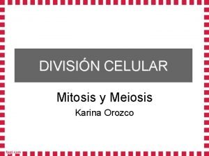 DIVISIN CELULAR Mitosis y Meiosis Karina Orozco Ciclo