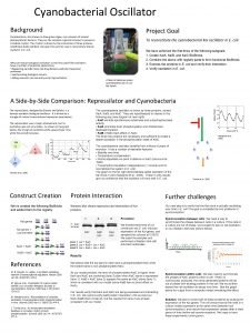 Cyanobacterial Oscillator Background Project Goal Cyanobacteria also known