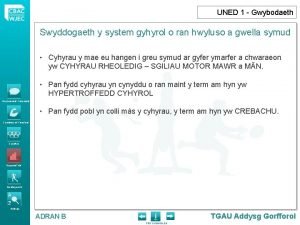 UNED 1 Gwybodaeth Swyddogaeth y system gyhyrol o