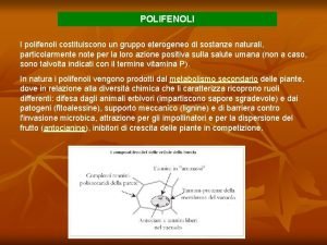 POLIFENOLI I polifenoli costituiscono un gruppo eterogeneo di