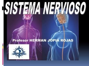 Tejido Nervioso Neuronas a Piramidales o de proyeccin