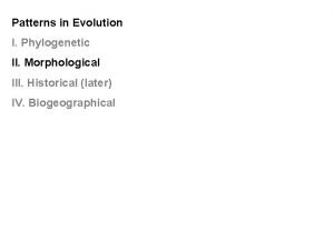 Patterns in Evolution I Phylogenetic II Morphological III