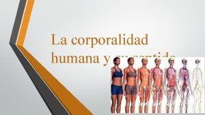 Corporalidad humana