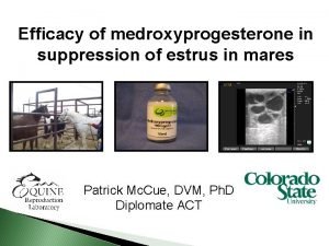 Efficacy of medroxyprogesterone in suppression of estrus in