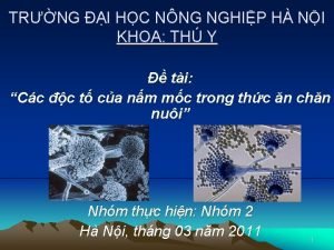 TRNG I HC NNG NGHIP H NI KHOA