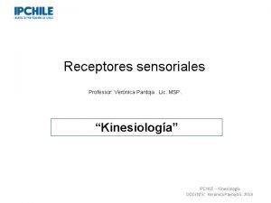 Receptores sensoriales Professor Vernica Pantoja Lic MSP Kinesiologa