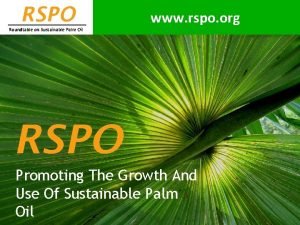 RSPO www rspo org Roundtable on Sustainable Palm