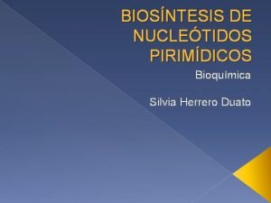 BIOSNTESIS DE NUCLETIDOS PIRIMDICOS Bioqumica Silvia Herrero Duato