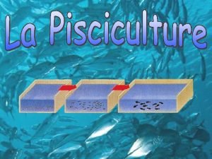 Introduction sur la pisciculture