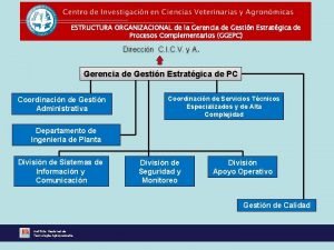 ESTRUCTURA ORGANIZACIONAL de la Gerencia de Gestin Estratgica