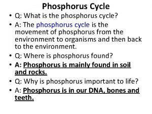 Phosphorus Cycle Q What is the phosphorus cycle