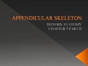 APPENDICULAR SKELETON HONORS ANATOMY CHAPTER 7 PART II