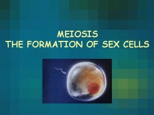 MEIOSIS THE FORMATION OF SEX CELLS What is