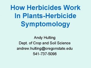 How Herbicides Work In PlantsHerbicide Symptomology Andy Hulting