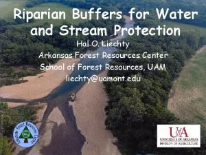 Riparian Buffers for Water and Stream Protection Hal