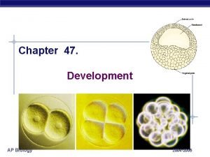 Whats gastrulation