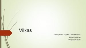 Vilkas Darb atliko August Damaeviit Lukas Rudnas Dovydas