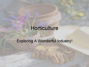 Horticulture Exploring A Wonderful Industry Please Write the