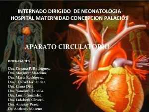 INTERNADO DIRIGIDO DE NEONATOLOGIA HOSPITAL MATERNIDAD CONCEPCION PALACIOS