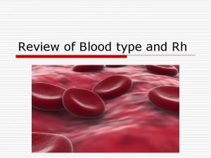 Rh negative blood facts