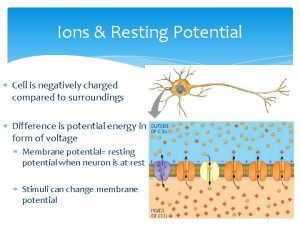 Ions Resting Potential Cell is negatively charged compared