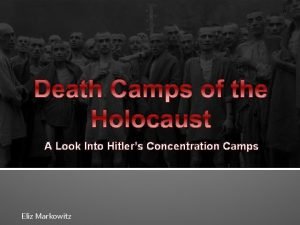 Death Camps of the Holocaust A Look Into