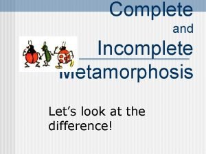 Complete and incomplete metamorphosis