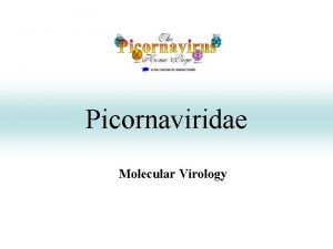 Picornaviridae Molecular Virology Plus Strand RNA Virus Families
