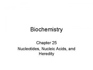 Biochemistry Chapter 25 Nucleotides Nucleic Acids and Heredity